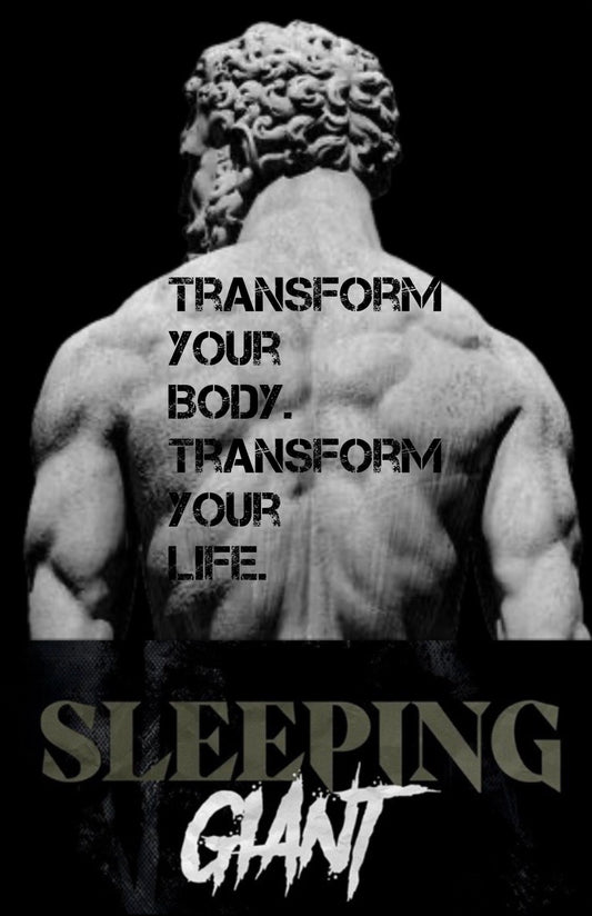 The Sleeping Giant Blueprint (Full Transformation Guide)